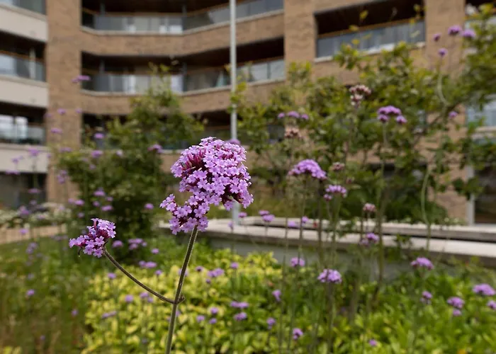 Guestready - Beautiful On Coast